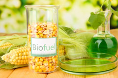 Littler biofuel availability